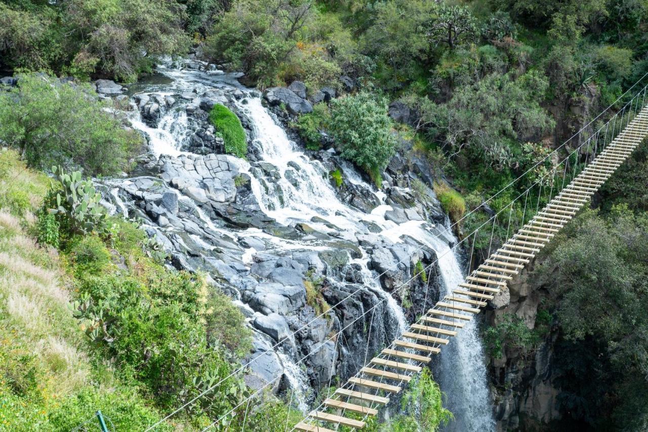 فندق هوليداي إن تلاكسكالا Tlaxcala المظهر الخارجي الصورة